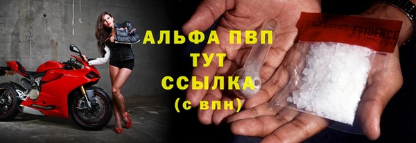 индика Армянск