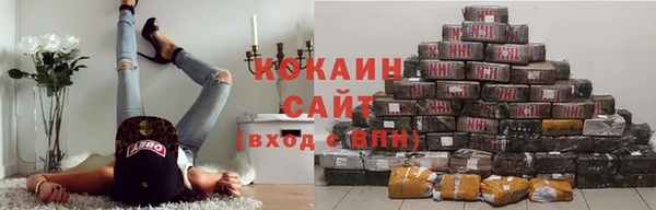 индика Армянск