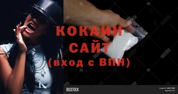 индика Армянск