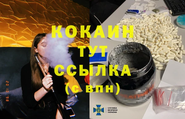 индика Армянск