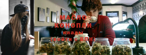 индика Армянск