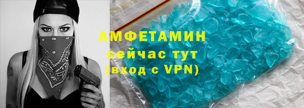 индика Армянск