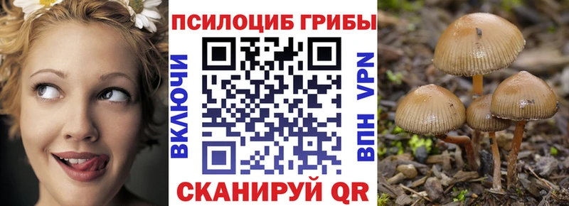 цены   Новый Оскол  Псилоцибиновые грибы мицелий 